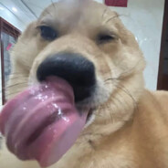 小学被老师查出白将