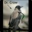 Dr.Crow