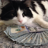 edytzaler - steam id 76561198176841707