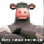 ЗУМЕР НАЧИНАЮЩИЙ