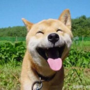 钢板