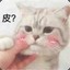 果子狸