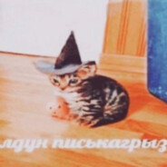 тятькин 228