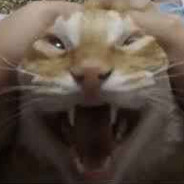 RAAAAAAAAAAAGH