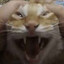 RAAAAAAAAAAAGH