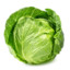 Cabbage