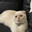 ☭✵Mr.Piffles✵☭