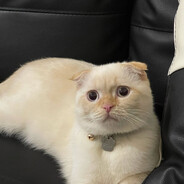 ☭✵Mr.Piffles✵☭