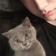 品如的衣柜在我这