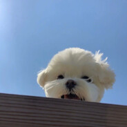 赵桑给我捶捶腿