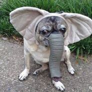 БАЛДЕЖ | Ilya 17