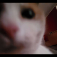 PAPA PENIS FROM CHICAGO