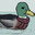 Verkäufer