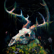 Morbid Curiosity