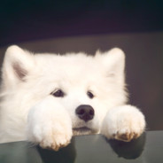 我是小雨我怕谁