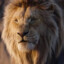 Mufasa