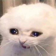 Meow_Meow - steam id 76561199668214194