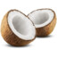 Coconut_Guy