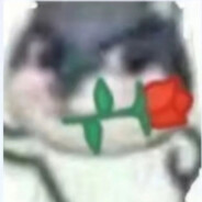 是表哥吗