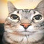 shilo