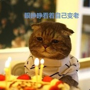 伊布伊布是伊布