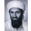 Bin laden