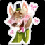 ♀Kaineko♂™
