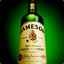 Mr. Jameson