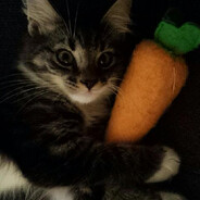 NateMight - steam id 76561198978937457