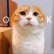 吃完这顿屎再来