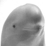 janpo's avatar