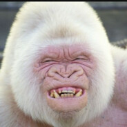 White Ape