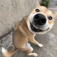我看到你了