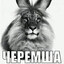 Джонни Додеп