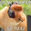 XB