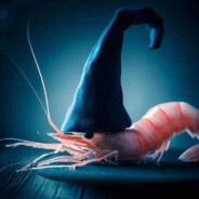 enchanted shrimp