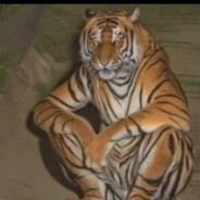 Lin - steam id 76561199556197053