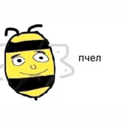 пчел - steam id 76561199268656899