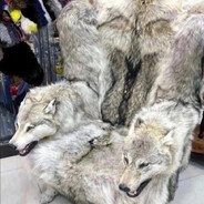 Ёкарный бабай