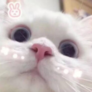 我专属于你的温柔