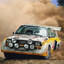 AUDI QUATTRO S1