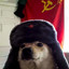 Soviet DOGE