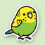 budgie