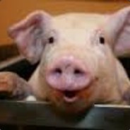 oinkk