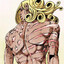 Funny Valentine