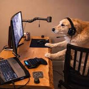 ZywOof