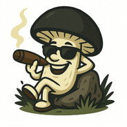 Nota avatar