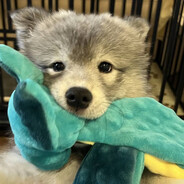 下雨怎么会晴天