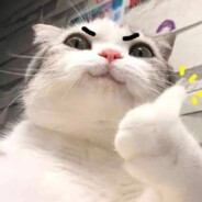 莱文的厄斯兄弟