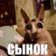 Пугало